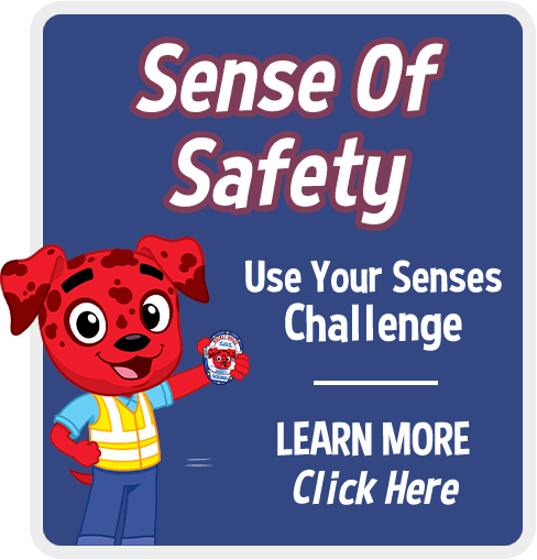 Sense of Safety Challenge