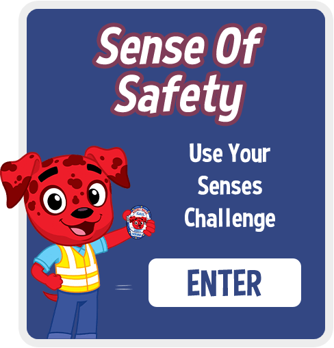 Sense of Safety Challenge - Enter